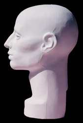 Male Head