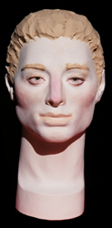 Male Demonstration Head