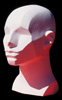 Memorized Planes of the Head