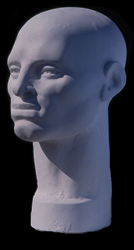 Male Head